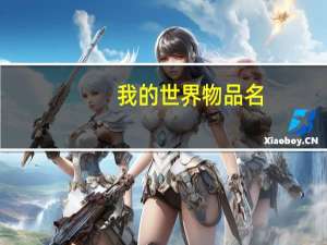 我的世界物品名