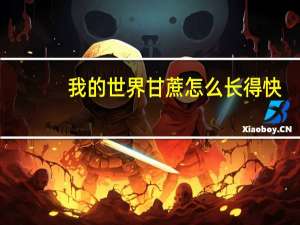 我的世界甘蔗怎么长得快