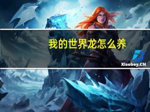 我的世界龙怎么养