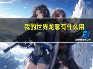 我的世界龙息有什么用