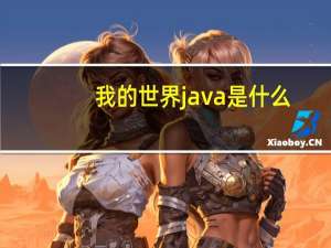 我的世界java是什么