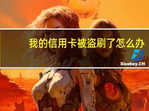 我的信用卡被盗刷了怎么办