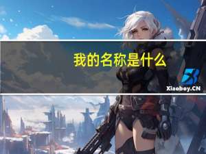我的名称是什么
