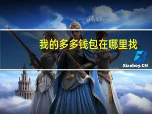 我的多多钱包在哪里找（多多钱包在哪里找）