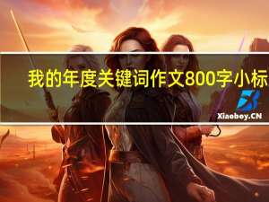 我的年度关键词作文800字小标题（我的年度关键词作文800字初三）