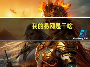 我的易网是干啥（我的易网）