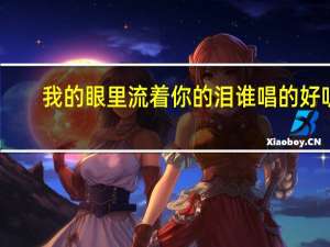 我的眼里流着你的泪谁唱的好听（我的眼里流着你的泪）
