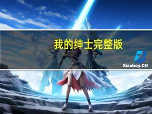 我的绅士完整版