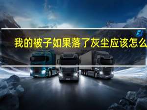 我的被子如果落了灰尘应该怎么办（被子落了灰尘）