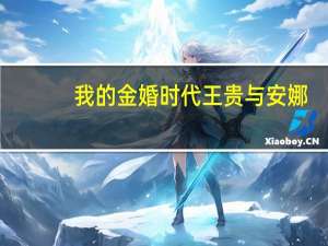 我的金婚时代王贵与安娜（我的金婚时代）
