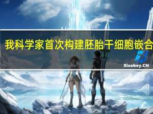 我科学家首次构建胚胎干细胞嵌合体猴