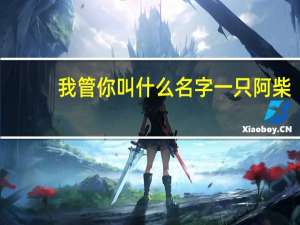 我管你叫什么名字一只阿柴