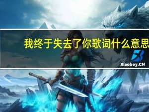 我终于失去了你歌词什么意思（我终于失去了你歌词）