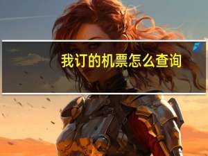 我订的机票怎么查询