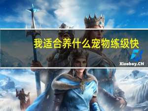 我适合养什么宠物练级快