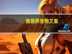 我领养宠物文案