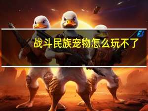 战斗民族宠物怎么玩不了