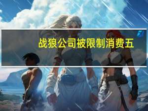 战狼公司被限制消费五（战狼公司被限制消费）