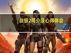战狼2简介及心得体会（战狼2简介）