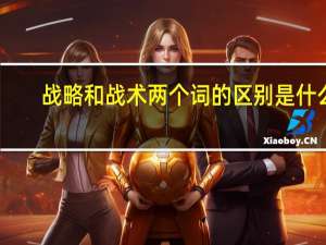 战略和战术两个词的区别是什么