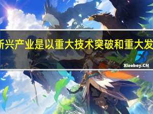战略性新兴产业是以重大技术突破和重大发展需求为基础，对经济社会全局和长远发展具有重大