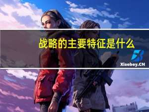 战略的主要特征是什么