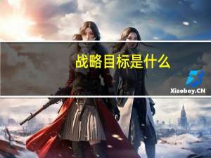 战略目标是什么