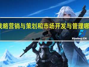 战略营销与策划和市场开发与管理哪个好学