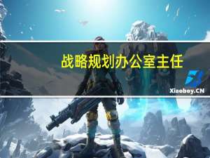 战略规划办公室主任