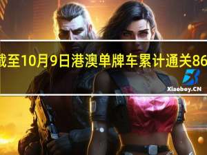 截至10月9日 港澳单牌车累计通关86万辆次