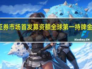 截至2022年底上海证券市场首发募资额全球第一持牌金融机构总数增加到1736家