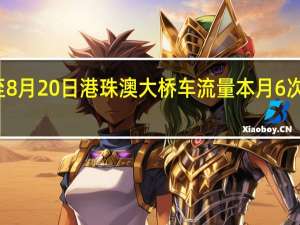 截至8月20日港珠澳大桥车流量本月6次单日破万