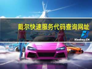 戴尔快速服务代码查询网址（戴尔快速服务代码查询）