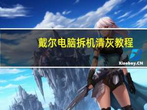 戴尔电脑拆机清灰教程（戴尔电脑拆机）