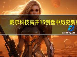 戴尔科技高开15%创盘中历史新高