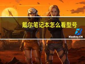 戴尔笔记本怎么看型号（戴尔笔记本怎么拆机）