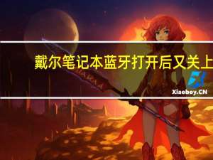戴尔笔记本蓝牙打开后又关上（戴尔笔记本蓝牙怎么打开）