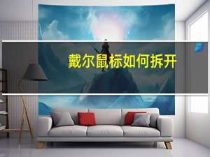 戴尔鼠标如何拆开（戴尔鼠标怎么拆开图解）