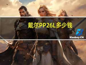 戴尔PP26L多少钱（戴尔pp26l）