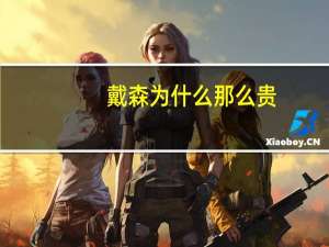 戴森为什么那么贵