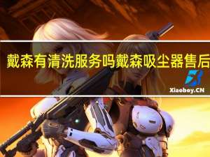 戴森有清洗服务吗 戴森吸尘器售后服务