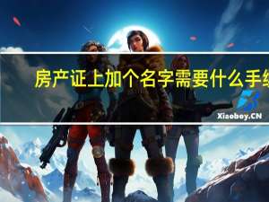 房产证上加个名字需要什么手续