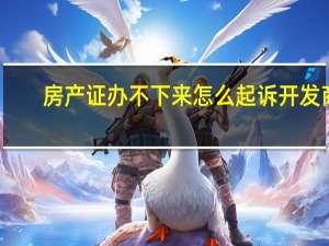 房产证办不下来 怎么起诉开发商