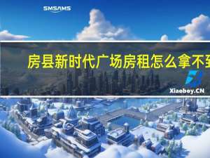 房县新时代广场房租怎么拿不到
