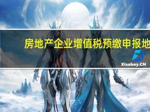 房地产企业增值税预缴申报地（房地产企业增值税预缴政策）