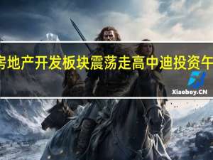 房地产开发板块震荡走高中迪投资午后涨停