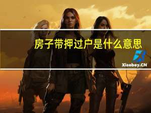 房子带押过户是什么意思