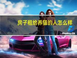 房子租给养猫的人怎么样