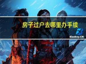 房子过户去哪里办手续