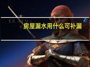 房屋漏水用什么可补漏